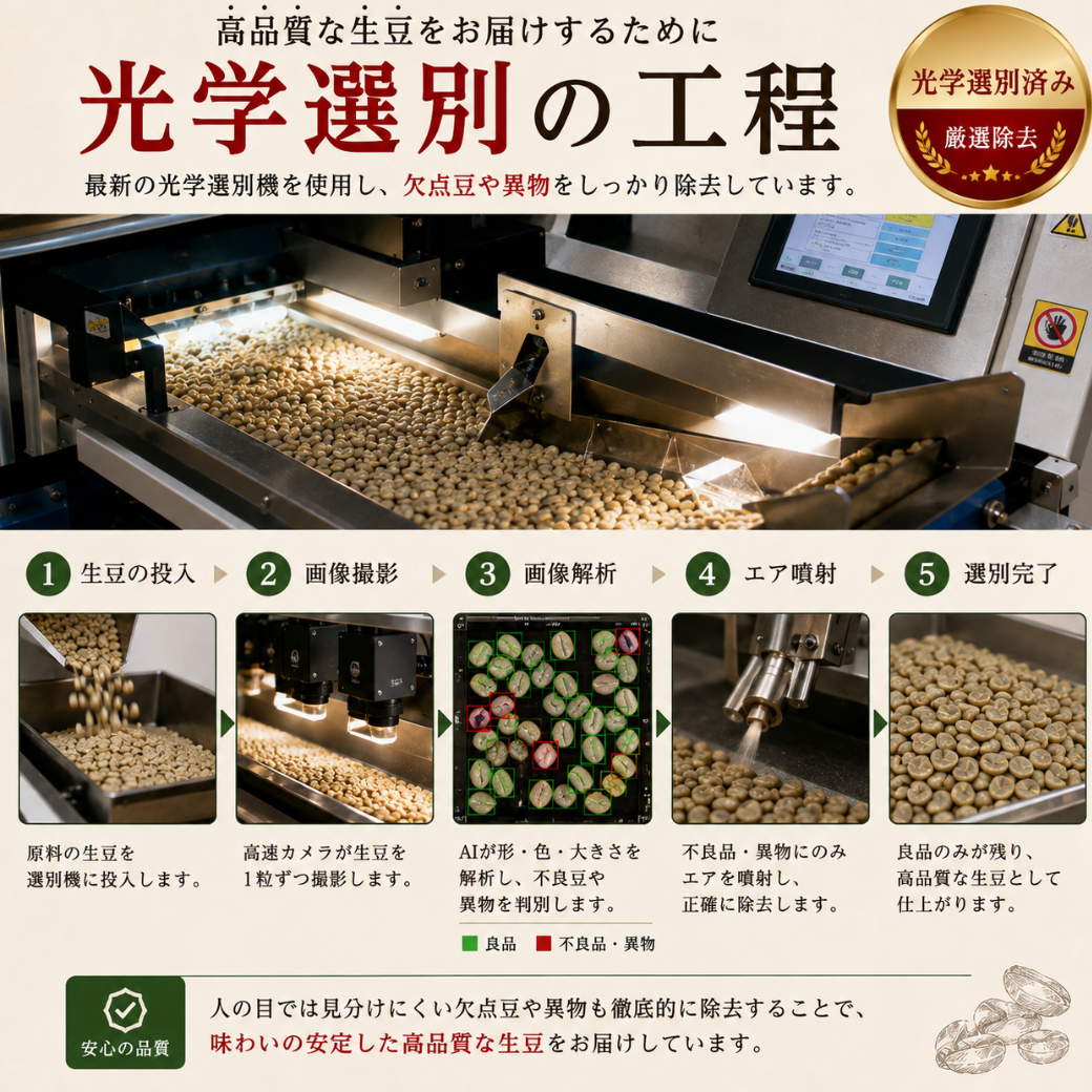 コーヒー 生豆 光学選別済み 300g 1kg ブラジル No.2 グアテマラ SHB コロンビア スプレモ 未焙煎 コーヒー豆 業務用 自家焙煎