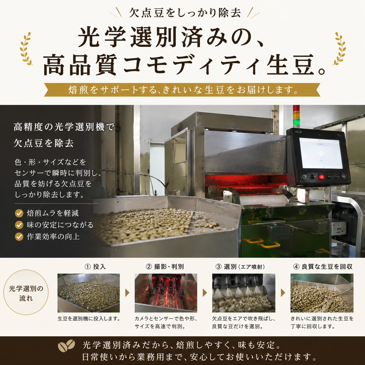 コーヒー 生豆 光学選別済み 300g 1kg ブラジル No.2 グアテマラ SHB コロンビア スプレモ 未焙煎 コーヒー豆 業務用 自家焙煎
